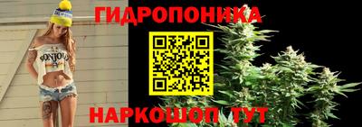 Альфа ПВП Мариинск