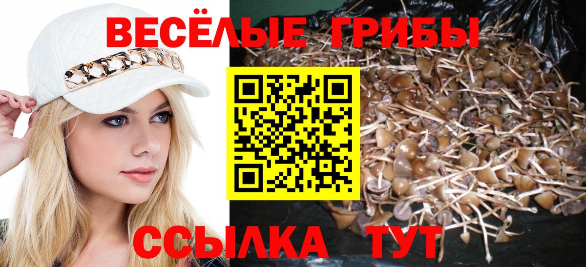 Таганрог  Псилоцибиновые грибы Psilocybe  Вход с VPN 