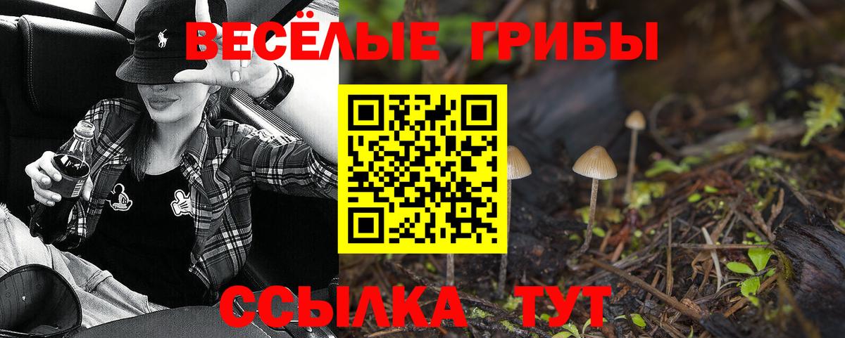 Галлюциногенные грибы ЛСД Таганрог